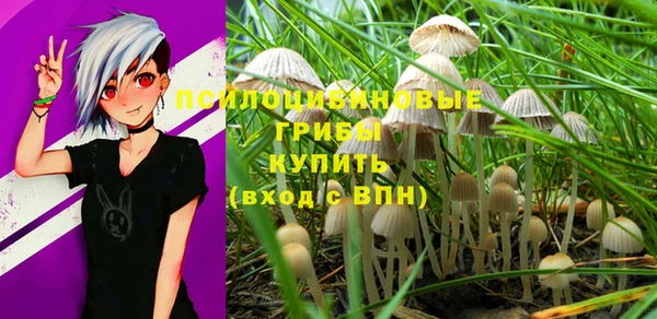 индика Алексеевка