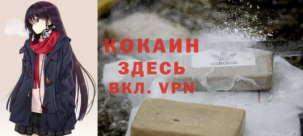 apvp Алексин